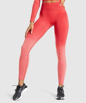 Women Gym Yoga Seamless Pants Sports Clothes